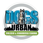 Dogs urban